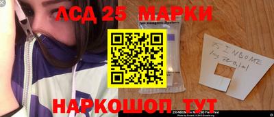 крисы Пенза