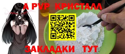 крисы Пенза