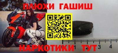 крисы Пенза
