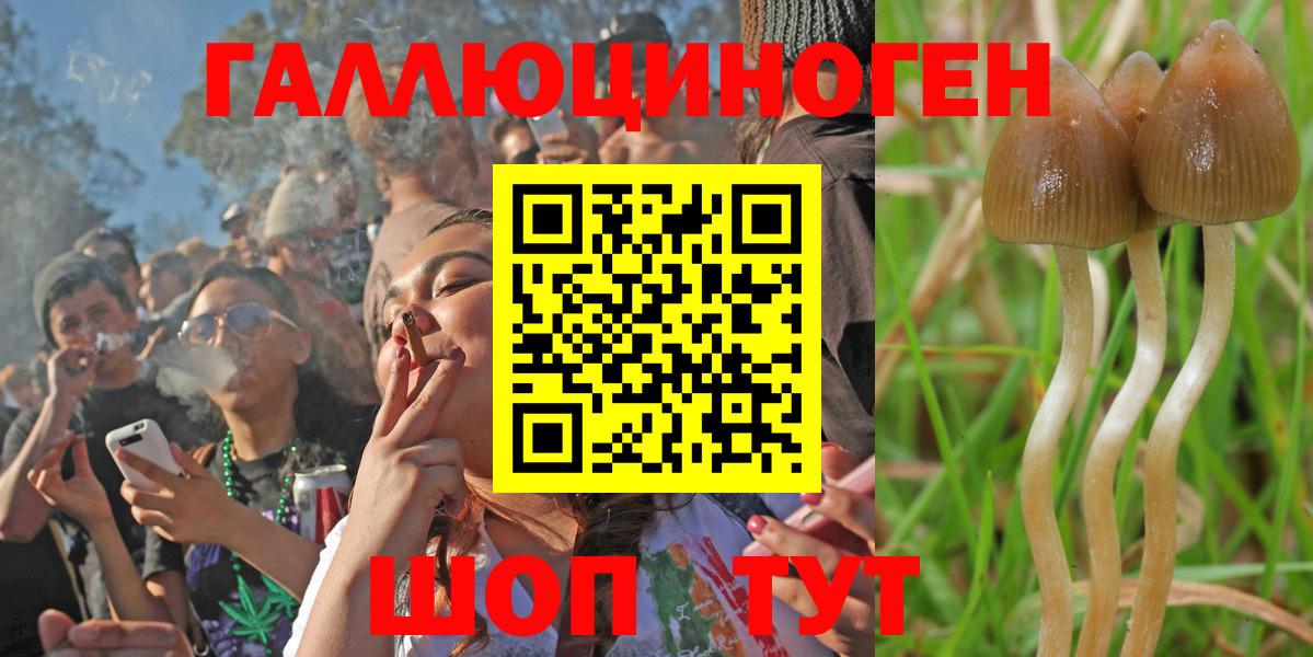 Галлюциногенные грибы Psilocybe Троицк